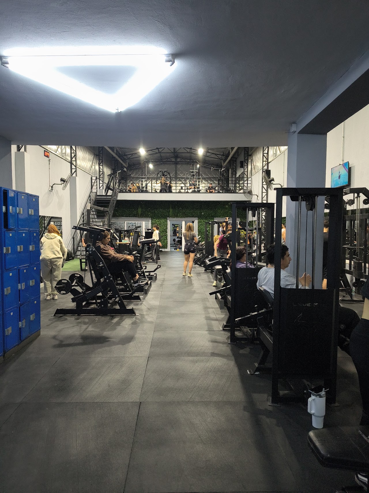 Sector de musculación y fuerza